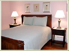 DayLily Velvet Rose Room